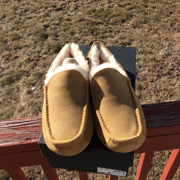 ugg m ascot ugg m ascot
